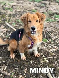 MINDY, dolcissima e super affettuosa