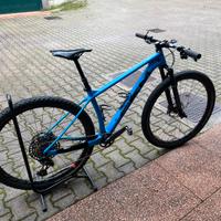 MTB telaio hardtail in carbonio taglia M