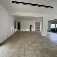 Locale commerciale C1 120 mq con giardino