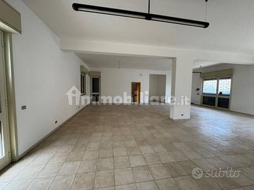 Locale commerciale C1 120 mq con giardino