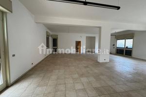 Locale commerciale C1 120 mq con giardino