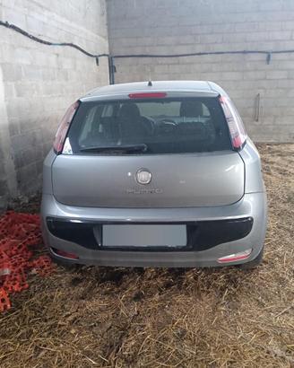 fiat punto evo