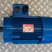 Azionamento con inverter più motore