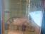 Immagine 5