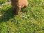 Immagine 8