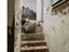 Immagine 19
