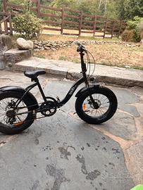 Bicletta  professionale
