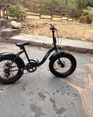 Bicletta  professionale