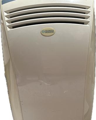 Condizionatore portatile 9000 btu