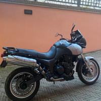 Moto Triumph 955i