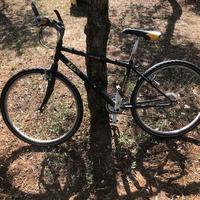 Bicicletta da uomo montain bike