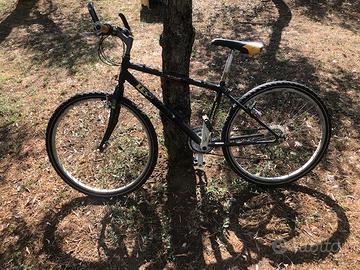 Bicicletta da uomo montain bike