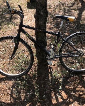 Bicicletta da uomo montain bike