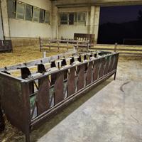 Mangiatoie auto-cattura per ovini