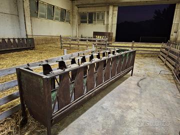 Mangiatoie auto-cattura per ovini