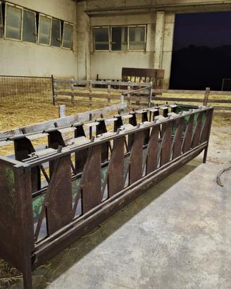 Mangiatoie auto-cattura per ovini