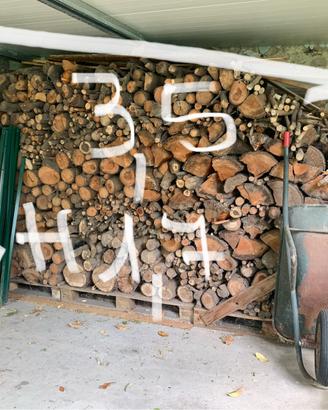LEGNA DI PINO DA ARDERE