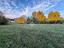 Immagine 9
