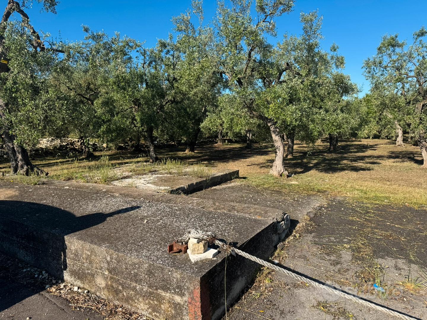 Terreno agricolo sp.88 tra giovinazzo/bitonto - Vista 4