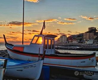 Pilotina con entrobordo