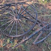 Carrozza per cavalli Americano (Amish Buggy)