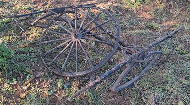 Carrozza per cavalli Americano (Amish Buggy)