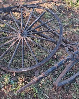 Carrozza per cavalli Americano (Amish Buggy)