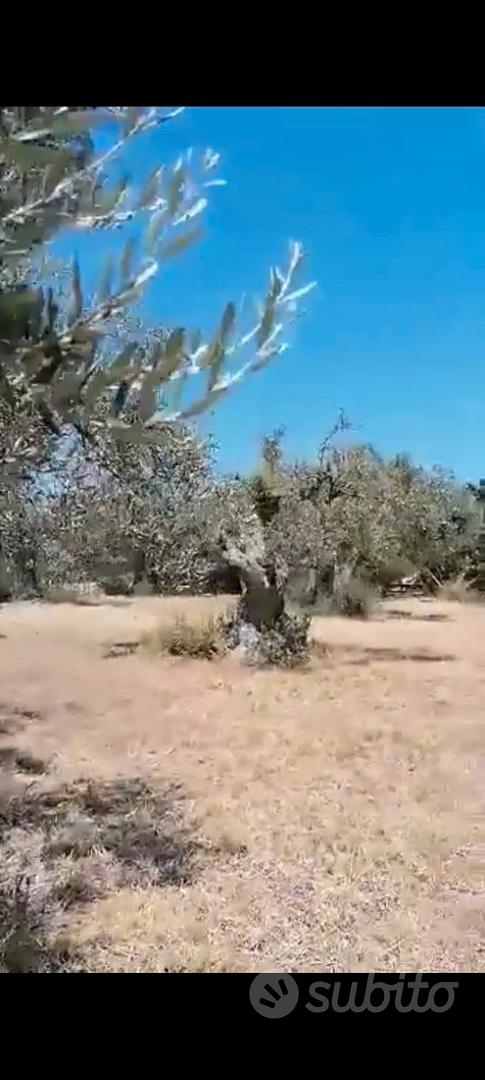 Terreno Trabia in zona di espanzione - Vista 4