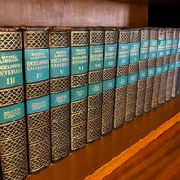 Enciclopedia Universale Rizzoli Larousse 18 Volumi