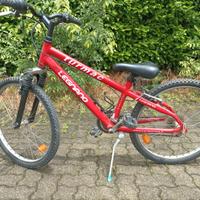 Bicicletta R24