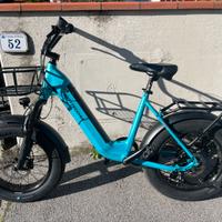 Bicicletta elettrica