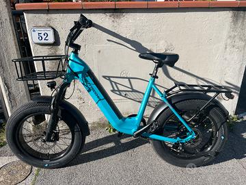 Bicicletta elettrica