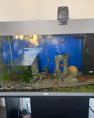 Acquario 125L Juwel + Mobile