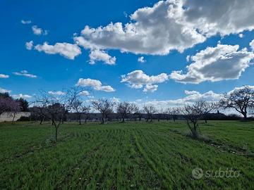 Terreno Agricolo 6000 m2