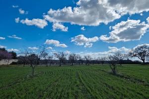 Terreno Agricolo 6000 m2