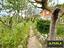 Immagine 23
