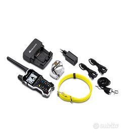 collare da ferma per cani