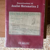 Esercitazioni di Analisi Matematica 2 - Bramanti