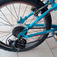 bicicletta bambino 20 pollici 