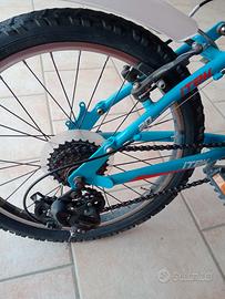 bicicletta bambino 20 pollici 