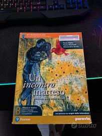 Un incontro inatteso. vol. B