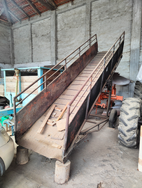 Scaletta rampa animali