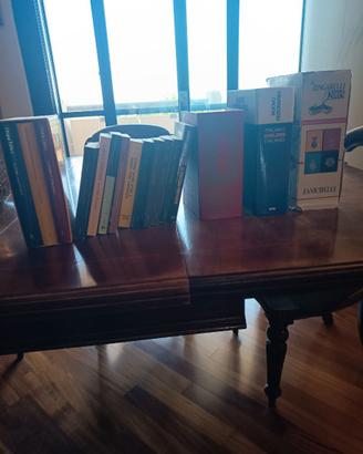 Vocabolari e libri