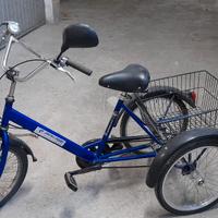 Bici tre ruote per adulti