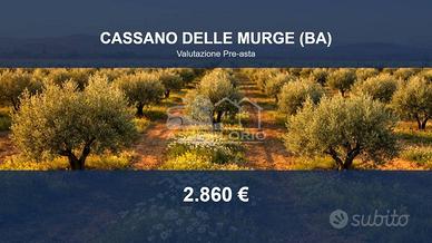 Immobile in asta di 2000 m² a Cassano delle Murge