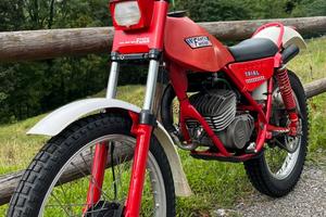 Fantic trial 50