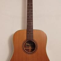 Chitarra acustica Ibanez AW250LG non amplificabile