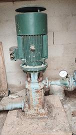 Elettropompa verticale Caprari e tubi