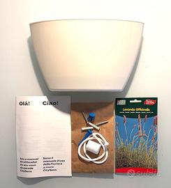 CitySens Vaso da Parete + Pack di Piante Lavanda