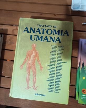 Anatomia Umana Anastasia Edi Ermes 3 volumi